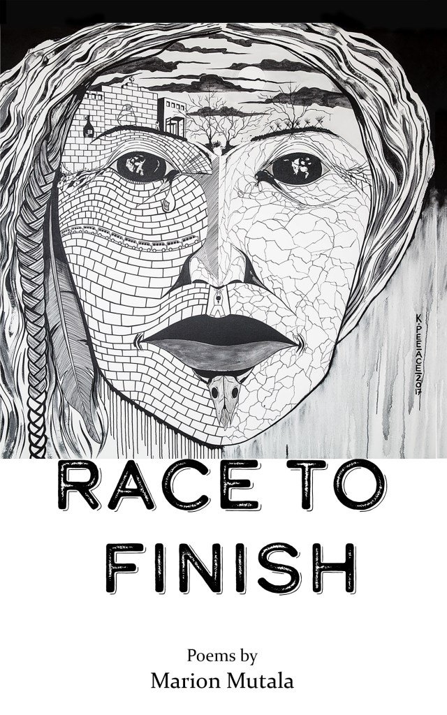 Race to Finish book cover